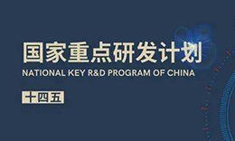 疾病類(lèi)器官模型被列為“十四五”首批重點(diǎn)專